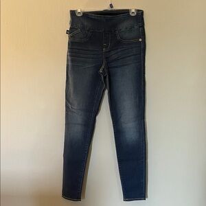 Rock & Republic Indigo Jeggings
